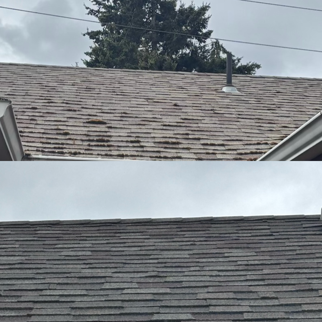 Residential roof before and after soft wash — moss and algae removed