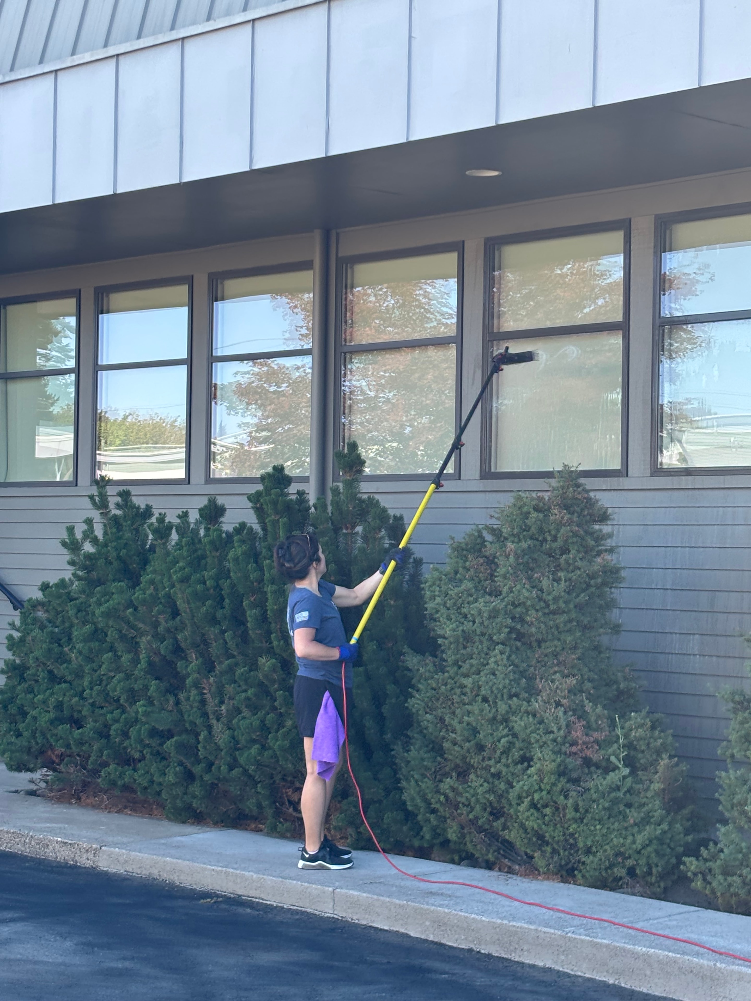 Window Cleaning
